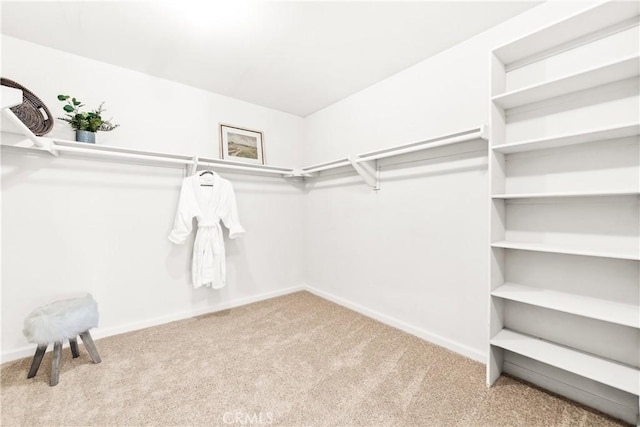 walk in closet with light carpet