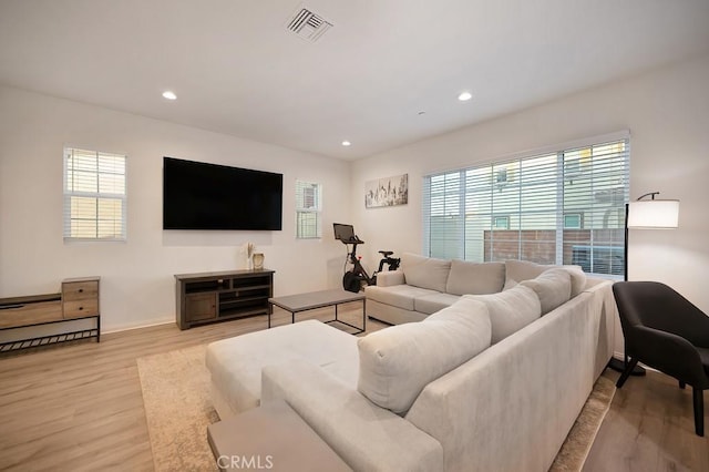 living room featuring a healthy amount of sunlight and light hardwood / wood-style floors