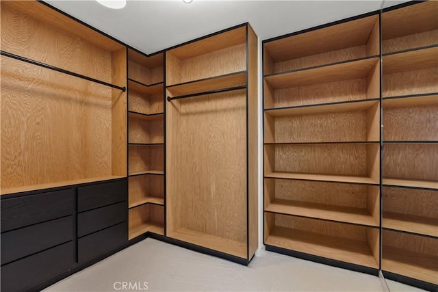 view of spacious closet