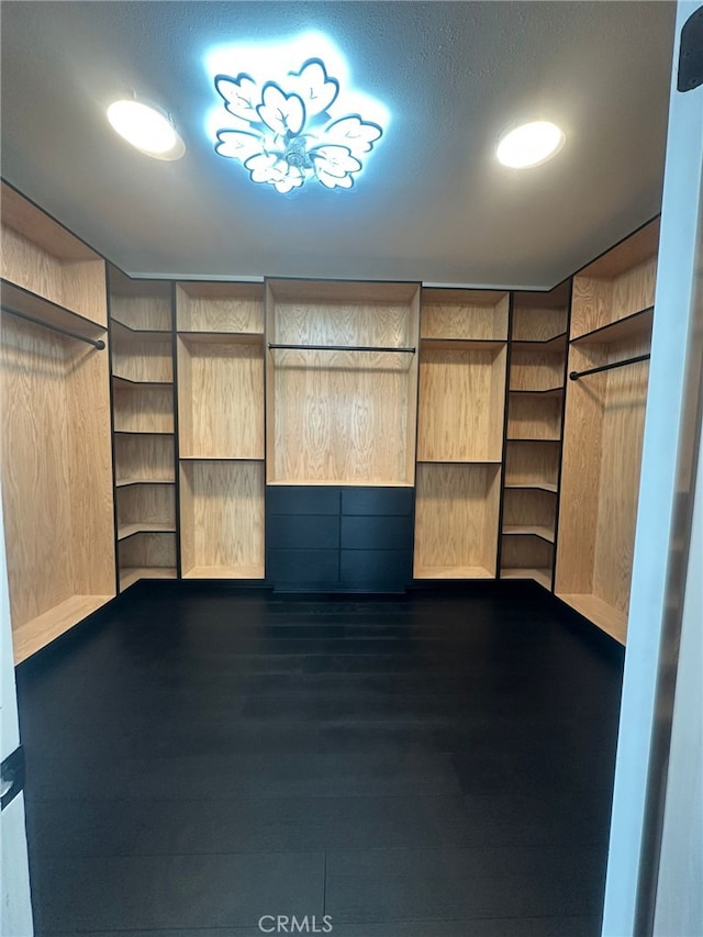 spacious closet featuring dark wood-type flooring