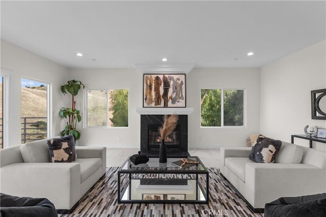 living room featuring a healthy amount of sunlight and a premium fireplace