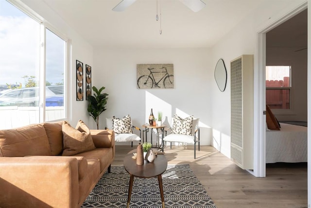 living room featuring ceiling fan, plenty of natural light, and wood-type flooring