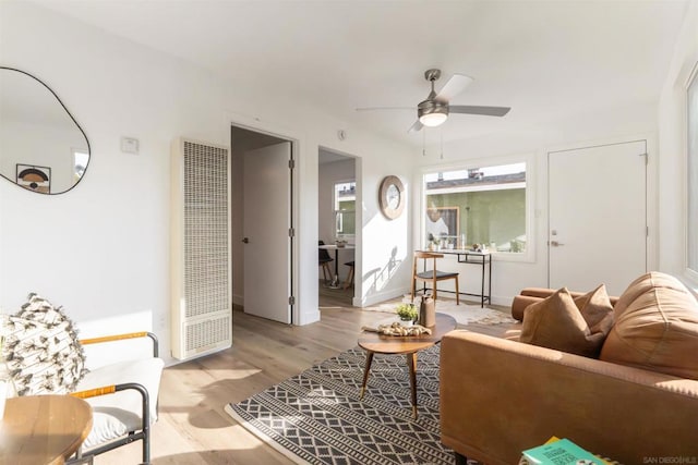 living room featuring ceiling fan and light wood-type flooring