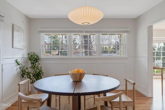 dining room with light hardwood / wood-style floors