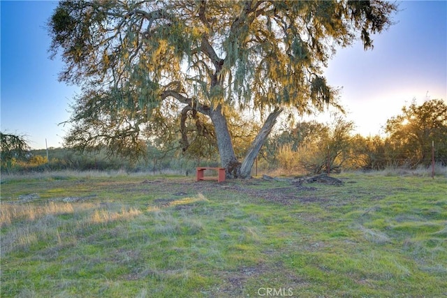 view of yard at dusk