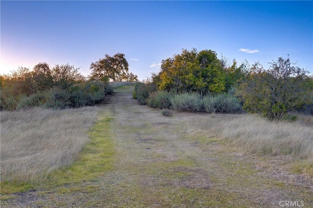 view of nature at dusk