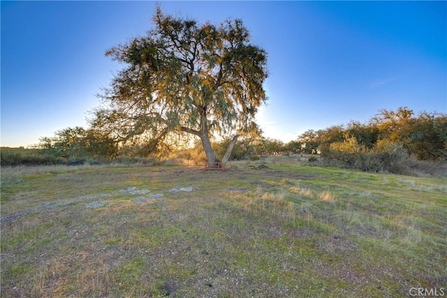 view of yard with a rural view