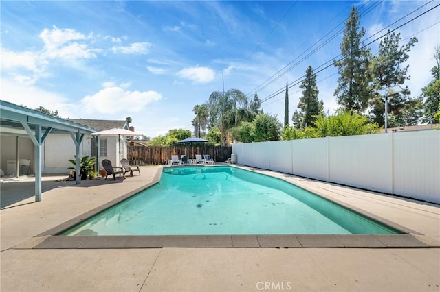 view of pool with a patio area