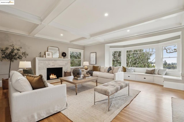 living room with a healthy amount of sunlight, light hardwood / wood-style floors, and a tile fireplace