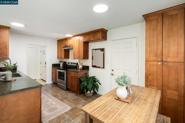 kitchen featuring stainless steel range with electric stovetop and sink