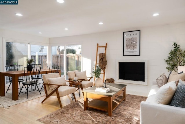 living room featuring hardwood / wood-style floors and a fireplace