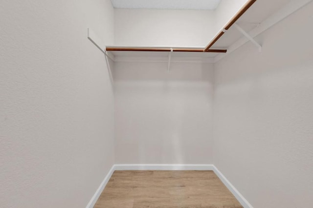 spacious closet featuring hardwood / wood-style floors