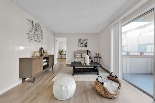 living area with light hardwood / wood-style floors and a textured ceiling