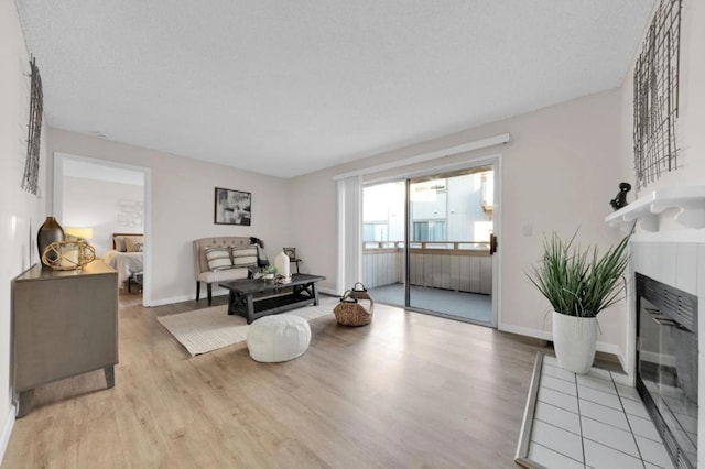 living room featuring light wood-type flooring and a fireplace