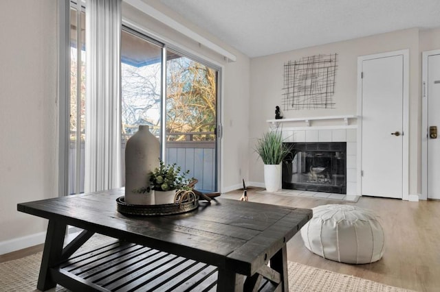 living room with a fireplace and light hardwood / wood-style floors