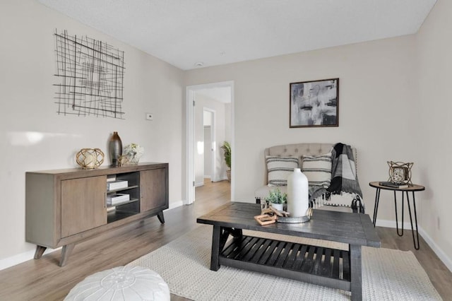 living room with wood-type flooring