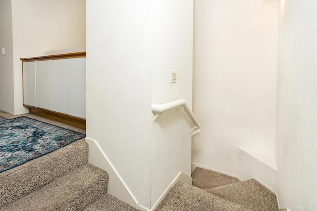 stairway featuring carpet flooring