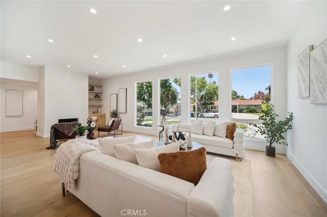 living room featuring a healthy amount of sunlight and light hardwood / wood-style floors