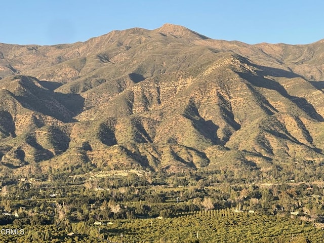 view of mountain feature