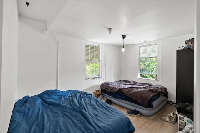 bedroom featuring multiple windows and hardwood / wood-style flooring