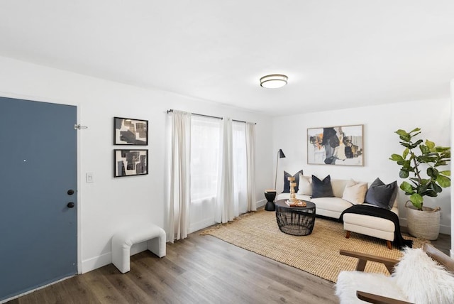 living room featuring hardwood / wood-style flooring