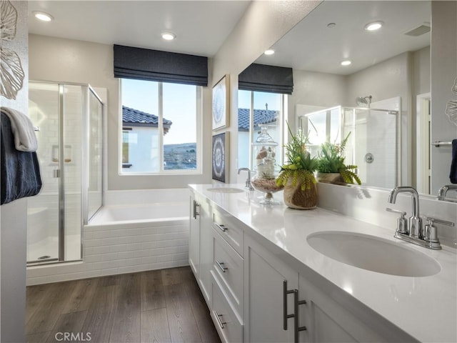 bathroom with wood-type flooring, plus walk in shower, and vanity