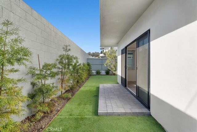 view of yard featuring a patio area