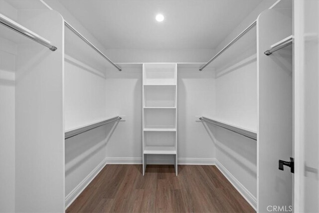 spacious closet with dark hardwood / wood-style floors