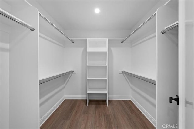 walk in closet featuring dark hardwood / wood-style flooring