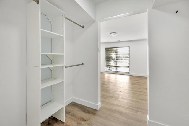 spacious closet featuring wood-type flooring