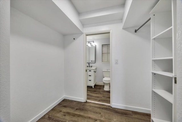 spacious closet with sink and dark hardwood / wood-style floors