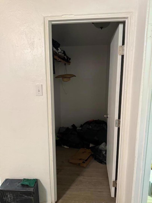 walk in closet featuring hardwood / wood-style floors