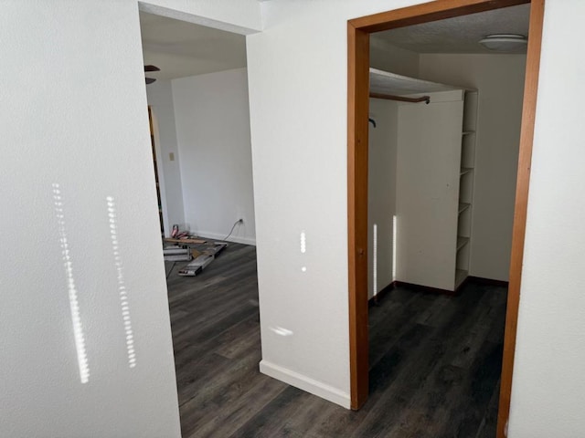 hallway with dark wood-type flooring