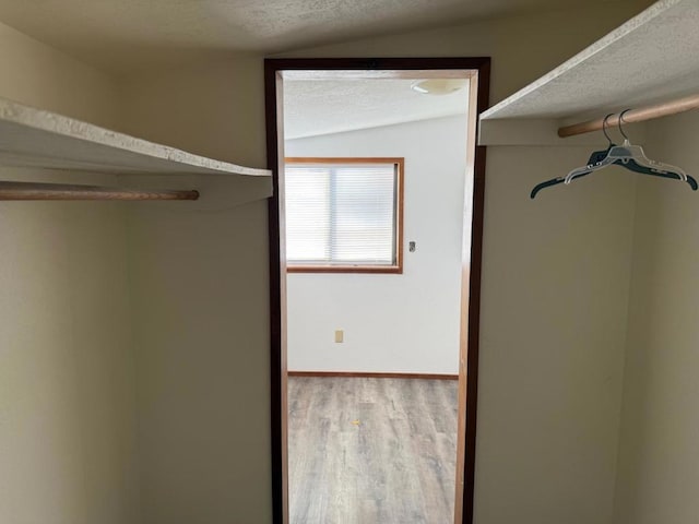 spacious closet with lofted ceiling and wood-type flooring