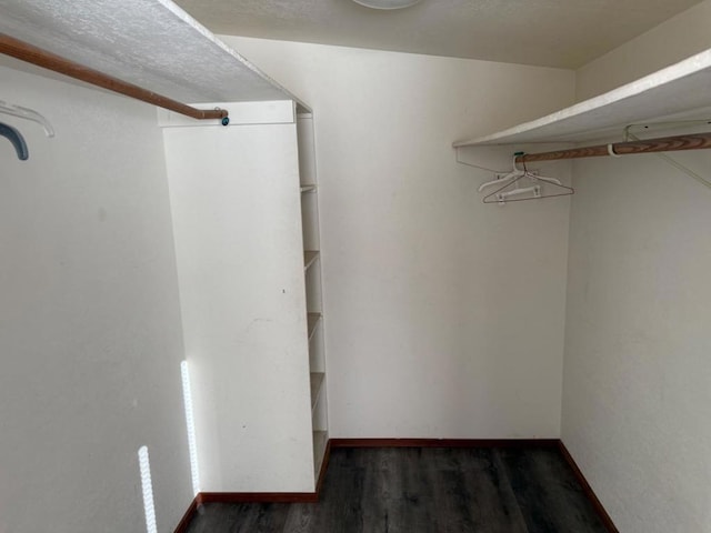 spacious closet with dark hardwood / wood-style flooring