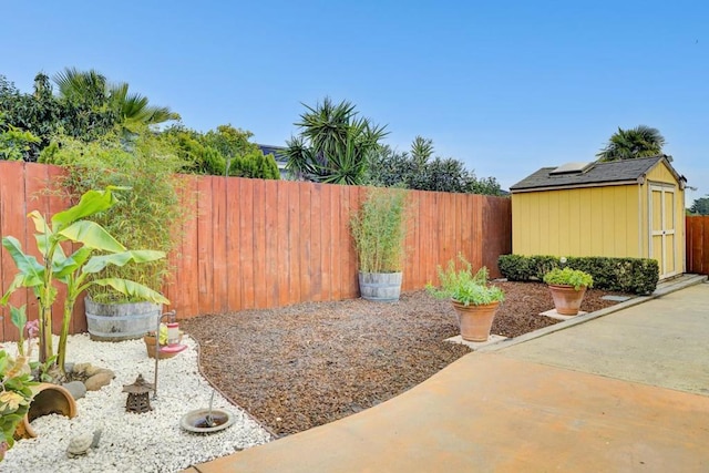 view of yard with a patio area and a storage unit