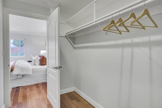 spacious closet featuring wood-type flooring