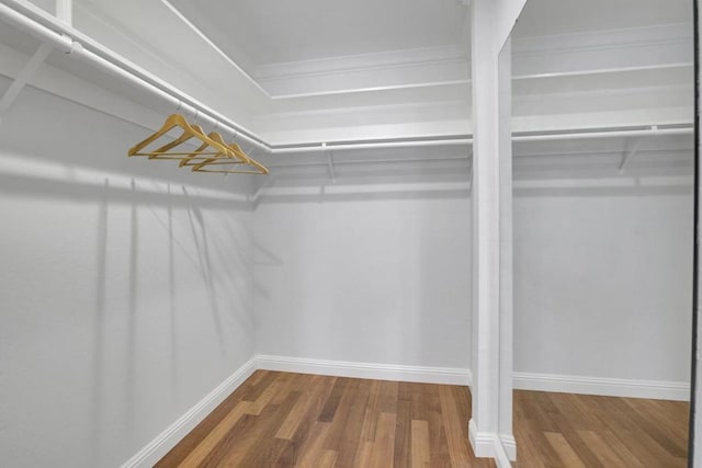 walk in closet with wood-type flooring