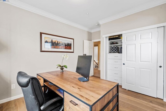 office featuring ornamental molding and light hardwood / wood-style flooring