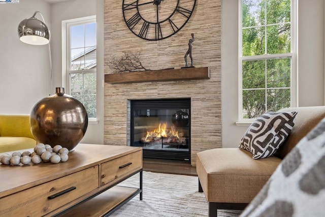 sitting room with a wealth of natural light