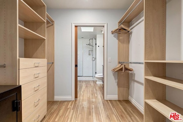 walk in closet with light hardwood / wood-style flooring