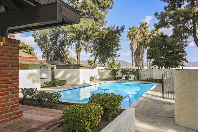 view of swimming pool with a patio area