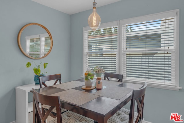 dining room featuring a wealth of natural light