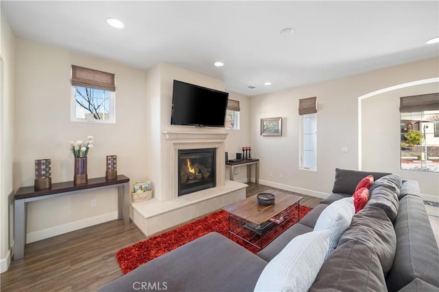 living room with hardwood / wood-style flooring