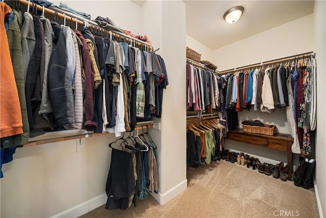 spacious closet with carpet floors