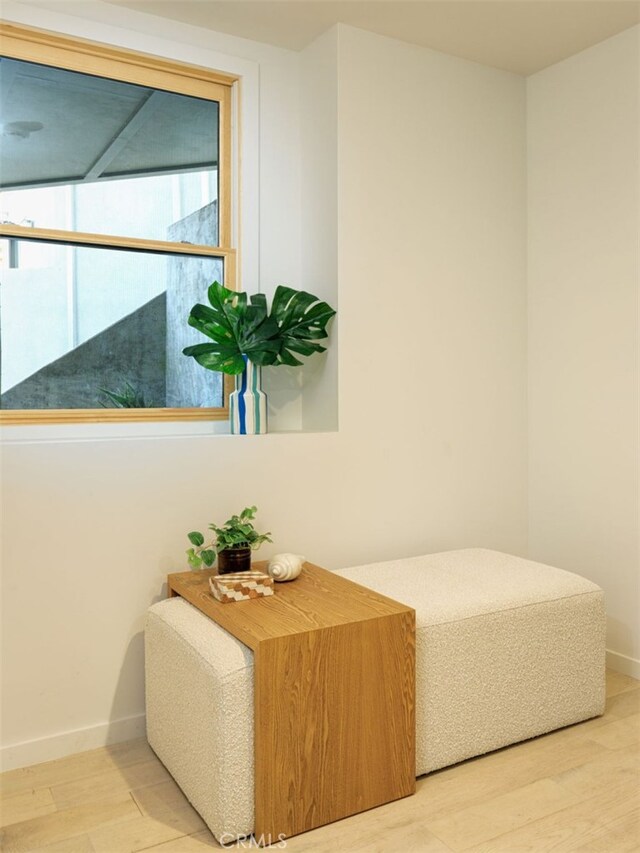 interior space with wood-type flooring