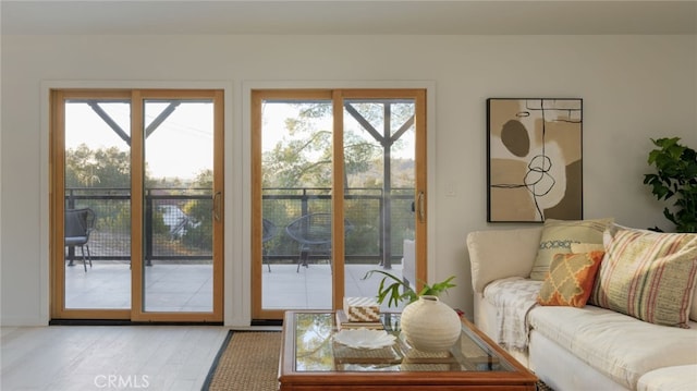 doorway to outside featuring light hardwood / wood-style flooring and plenty of natural light