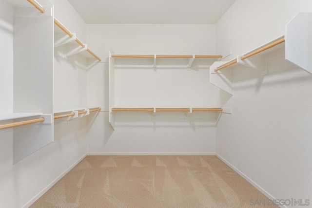 spacious closet with light carpet