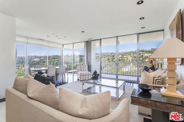 living room featuring a wall of windows