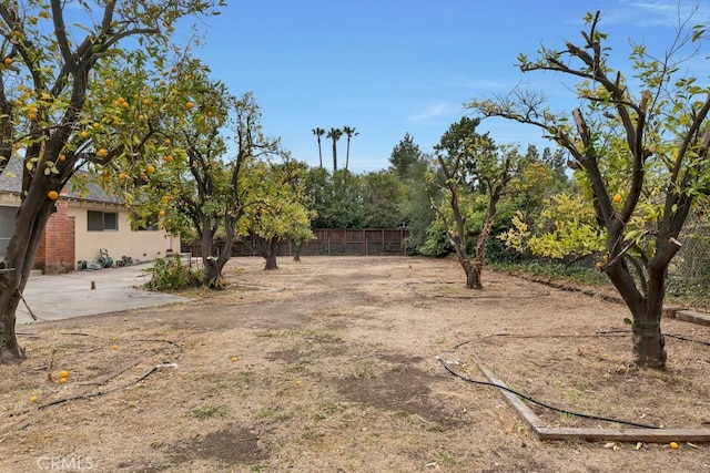 view of yard with a patio area